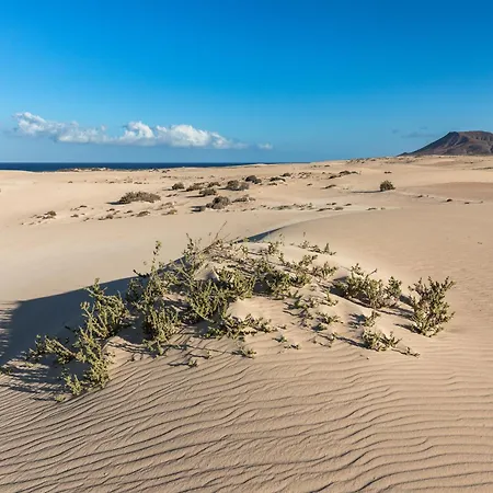 Home2book Pool & Tennis Court Cozy Apt, Apartamento Corralejo